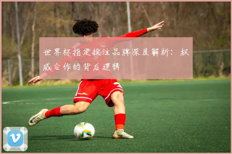 世界杯指定投注品牌深度解析：权威合作的背后逻辑