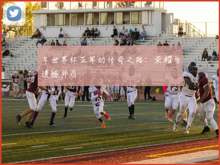 年世界杯亚军的传奇之路：荣耀与遗憾并存