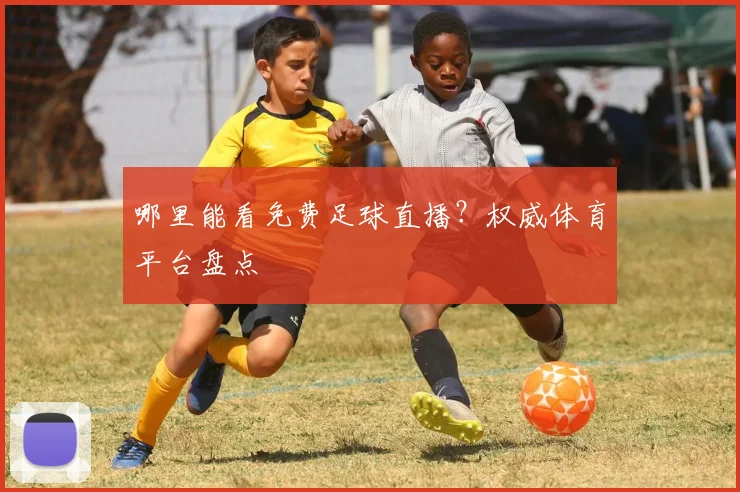 哪里能看免费足球直播？权威体育平台盘点
