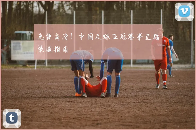 免费高清！中国足球亚冠赛事直播渠道指南
