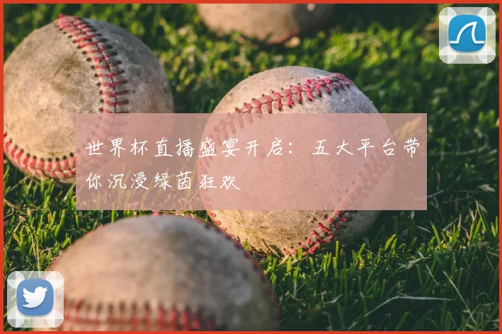 世界杯直播盛宴开启：五大平台带你沉浸绿茵狂欢