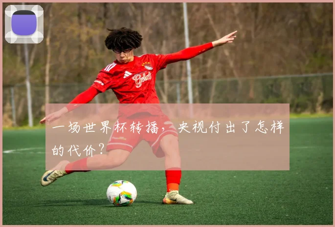 一场世界杯转播,央视付出了怎样的代价?