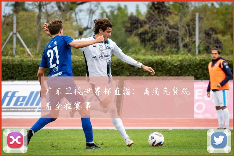 广东卫视世界杯直播：高清免费观看全程赛事