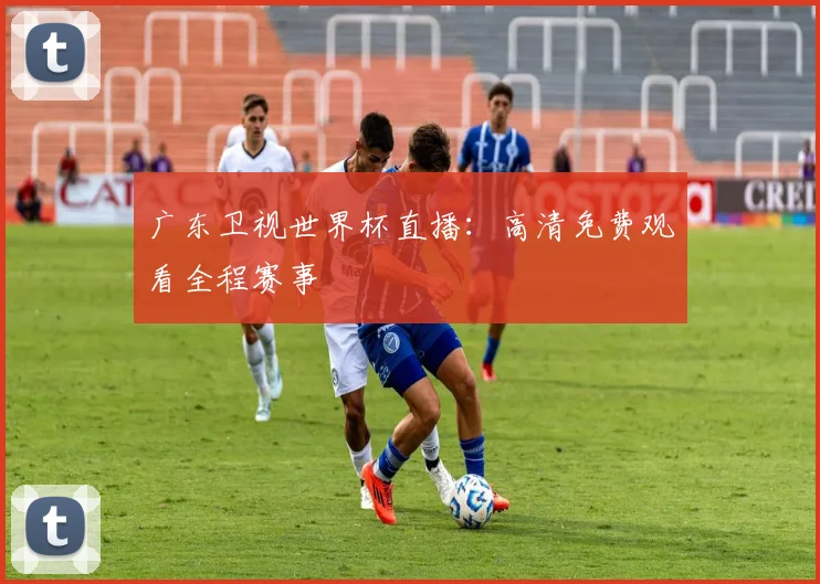 广东卫视世界杯直播：高清免费观看全程赛事