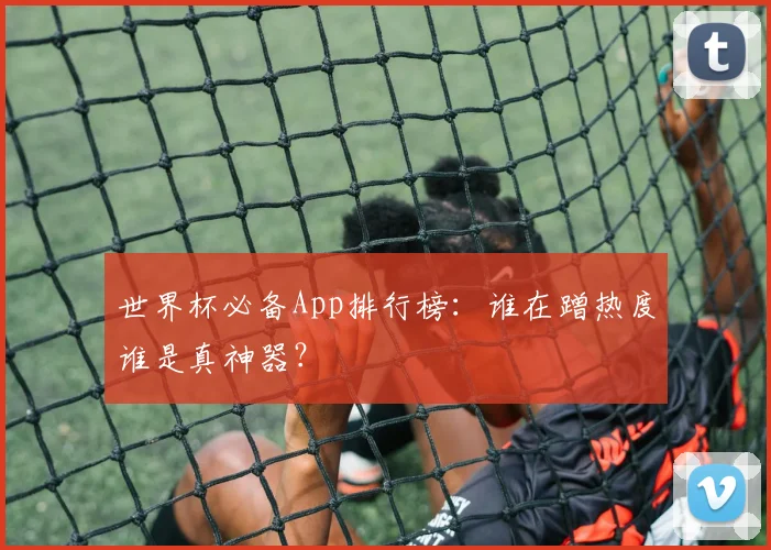 世界杯必备App排行榜：谁在蹭热度谁是真神器？