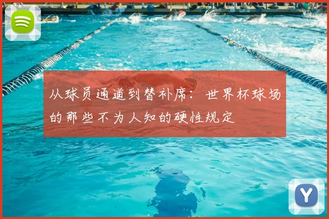 从球员通道到替补席：世界杯球场的那些不为人知的硬性规定