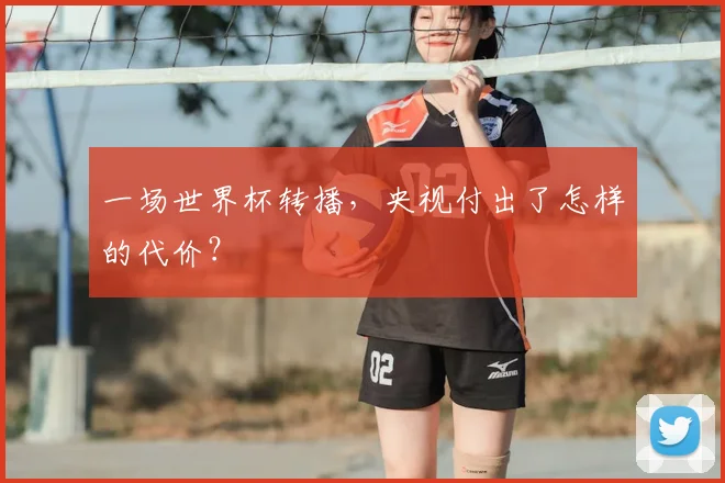 一场世界杯转播,央视付出了怎样的代价?